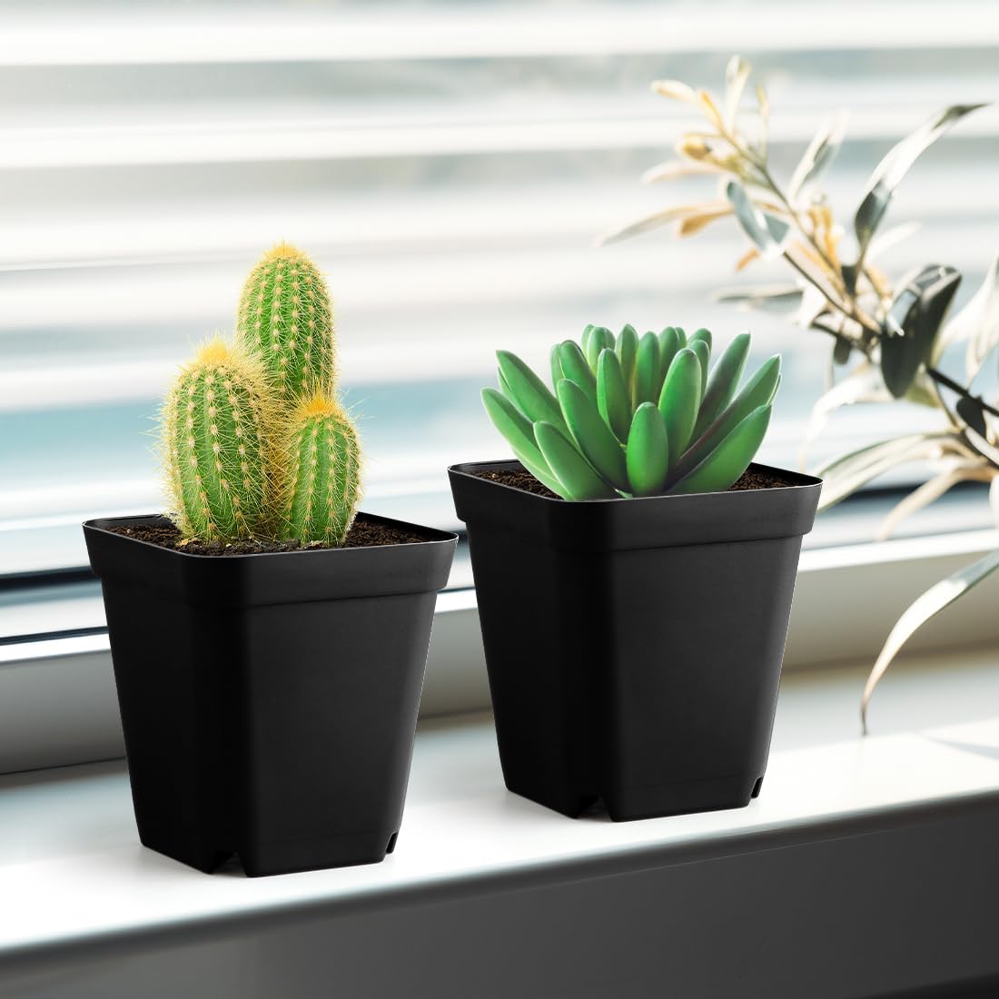 BTPLASTIK Small Plant Pots 3.5 Inch, 120 Pcs Nursery Pots with Drainage Holes, Durable Plastic Succulents Pots for Seedlings, Cuttings (Black)