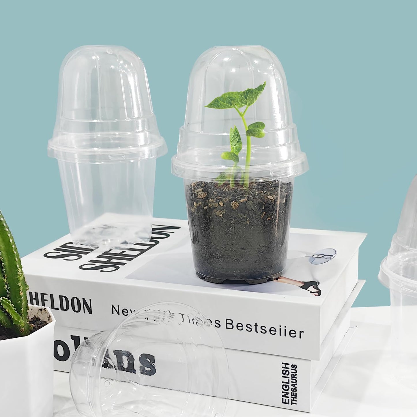 Transparent Nursery Pots 3.5Inch with Humidity Domes for Seeds Starting, Clear Plastic Plant Pots with Drainage Holes (3.54Inch, 40Pcs,Clear Pots with Lids)
