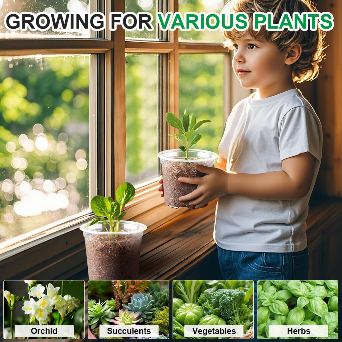 100 Pack 4 Inch Clear Plant pots with Drainage Holes, Transparent Nursery Seeding Pots, Flexile Seeds Starter Pots, Seeds Germination (4Inch,100P,Clear)