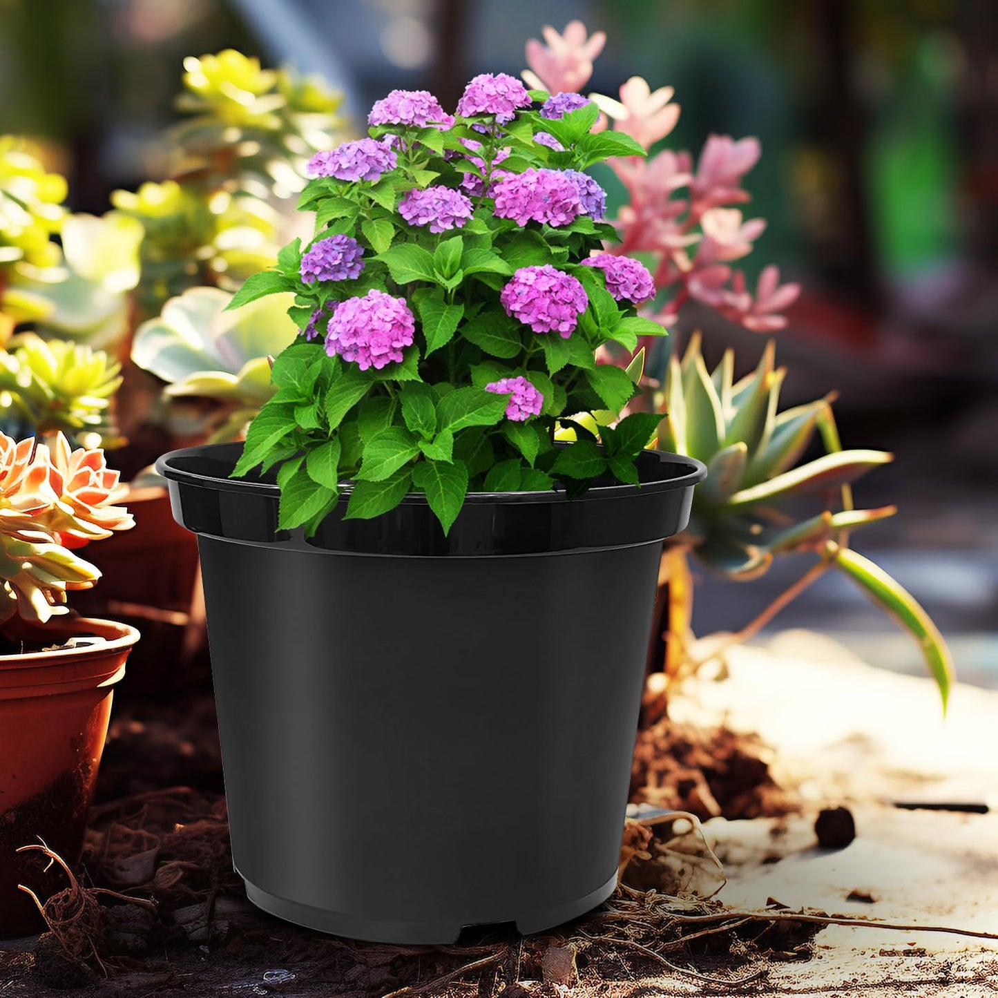 3 Gallon Plastic Nursery Pots, 10 Inch Round Plant Pots with Drainage Holes, 10 Pack Planting Pot for Outdoor Indoor Plants, Gardening Gifts for Women, Black