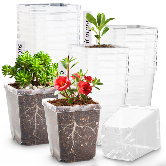 RooTrimmer 3.3" Clear Square Nursery Pots (90-Pack) – High-Efficiency Seedling & Propagation Trays