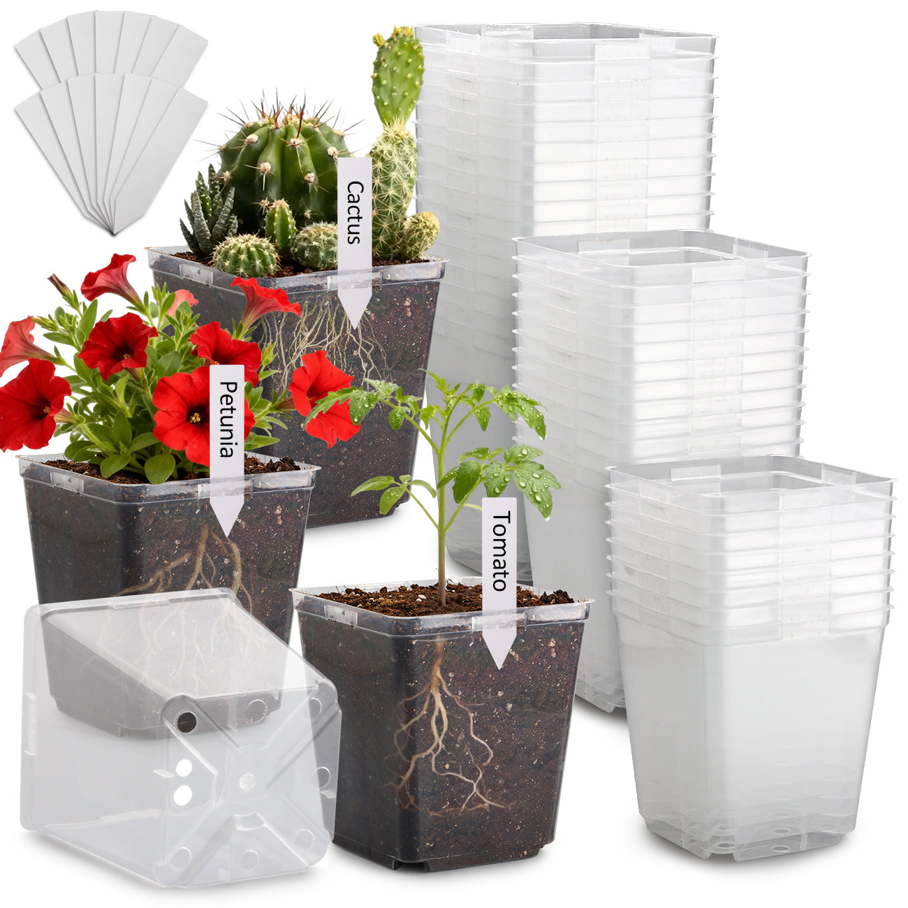 RooTrimmer™ 5.5" Clear Square Nursery Pots (30-Pack + Labels)