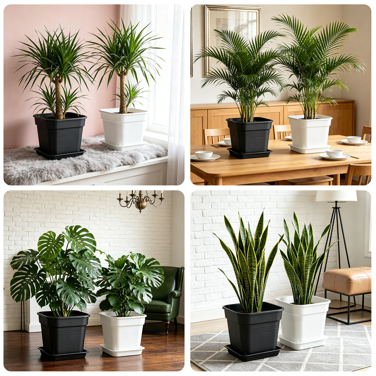 5 Pack 10 Inch Matte Black Square Air Pruning Planters with Matching Saucers | 5mm UV-Resistant Heavy Duty Large Plant Pots for Hydrangea, Orchard Trees & Backyard Vegetable Planting