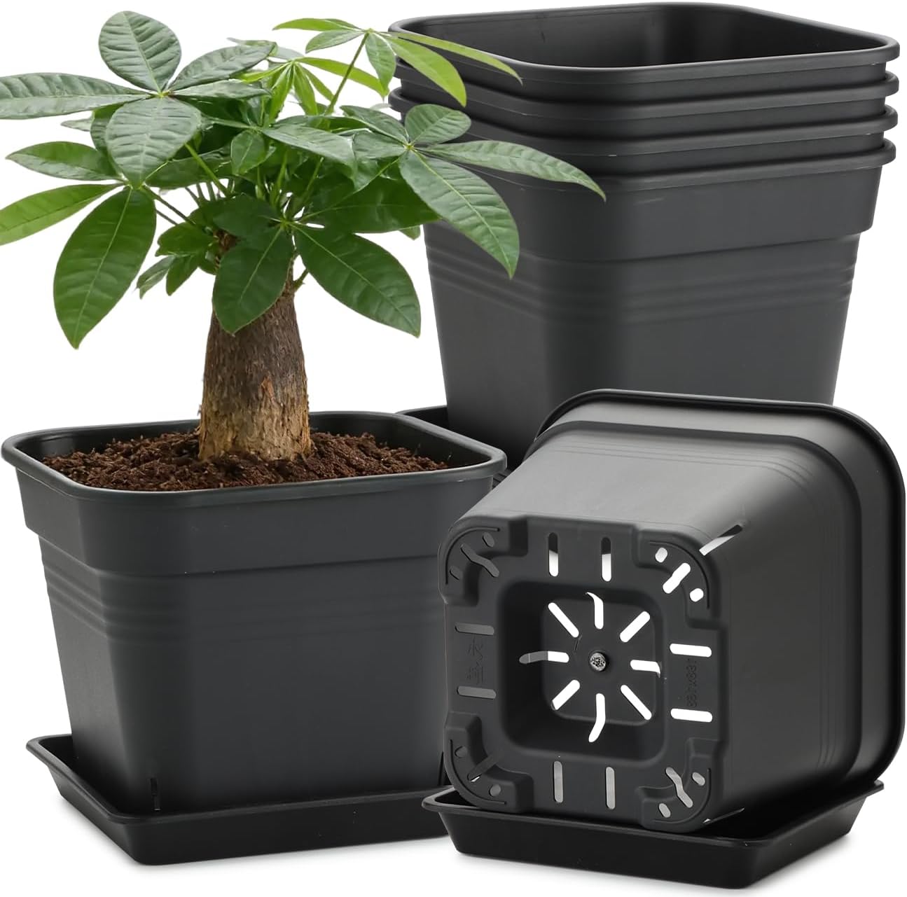 6 Pack 8 Inch Black Square Plant Pots with Matching Saucers | 5mm Thick Heavy-Duty 32-Hole Breathable Planters for Succulents, Herbs, Indoor & Outdoor Plants