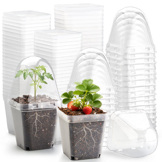 RooTrimmer 2.7" Clear Square Nursery Pots with Humidity Domes (60-Pack)