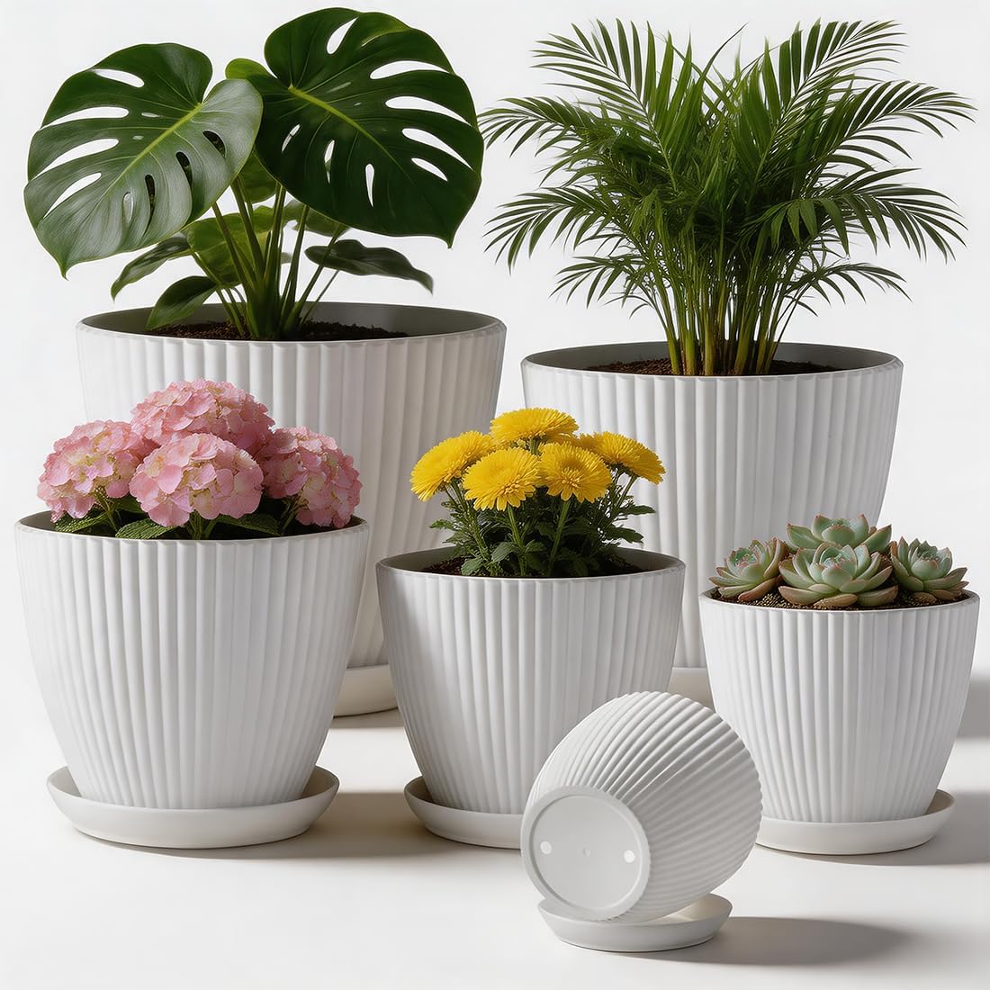 6 Pack 3.5"-7.5 Inch Matte White Vertical Ribbed Plant Pots with Matching Saucers | High-Strength PP Drainage Planters for Succulents, Cactus, Herbs & Indoor Houseplants