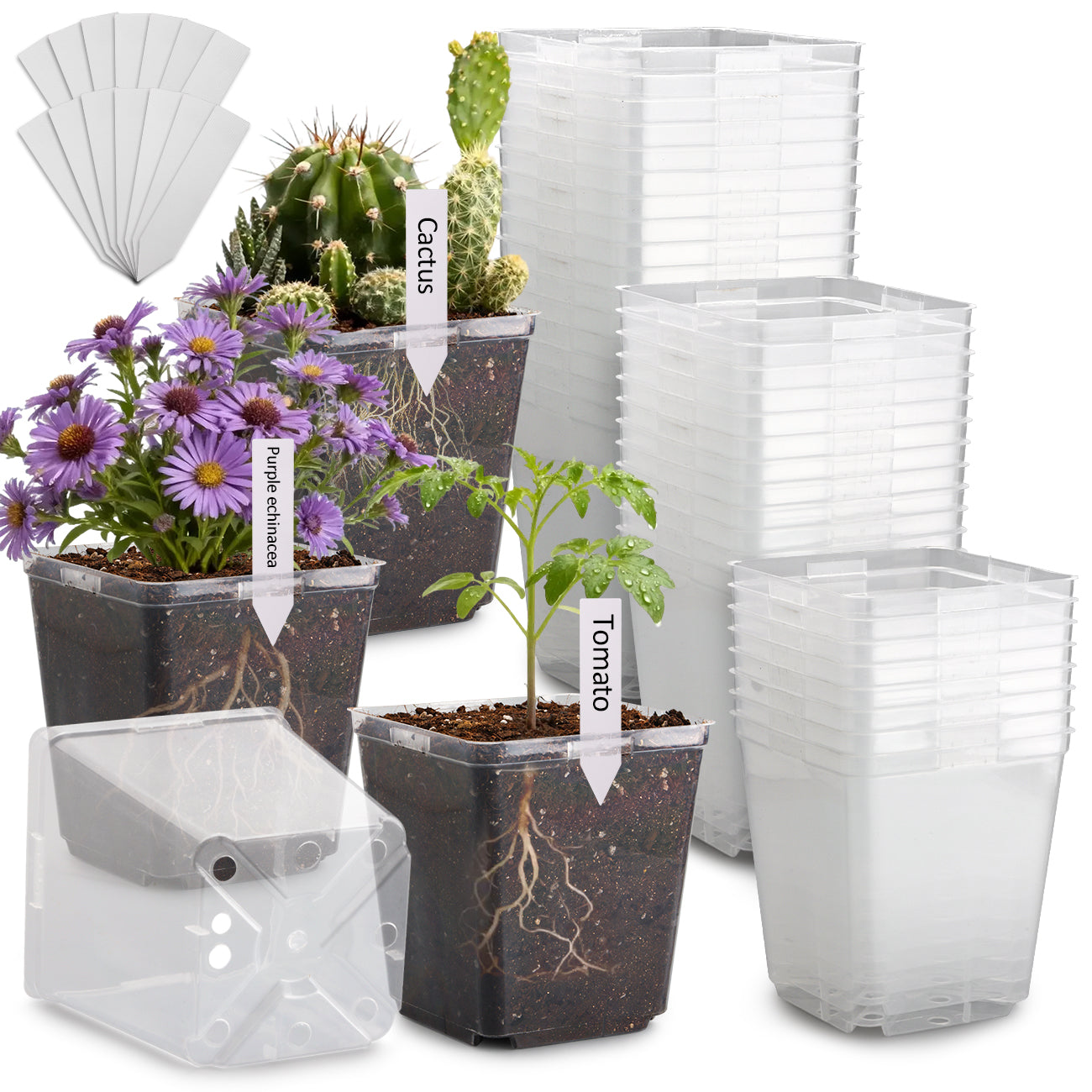 RooTrimmer™ 5.5" Clear Square Nursery Pots (30-Pack + Labels)