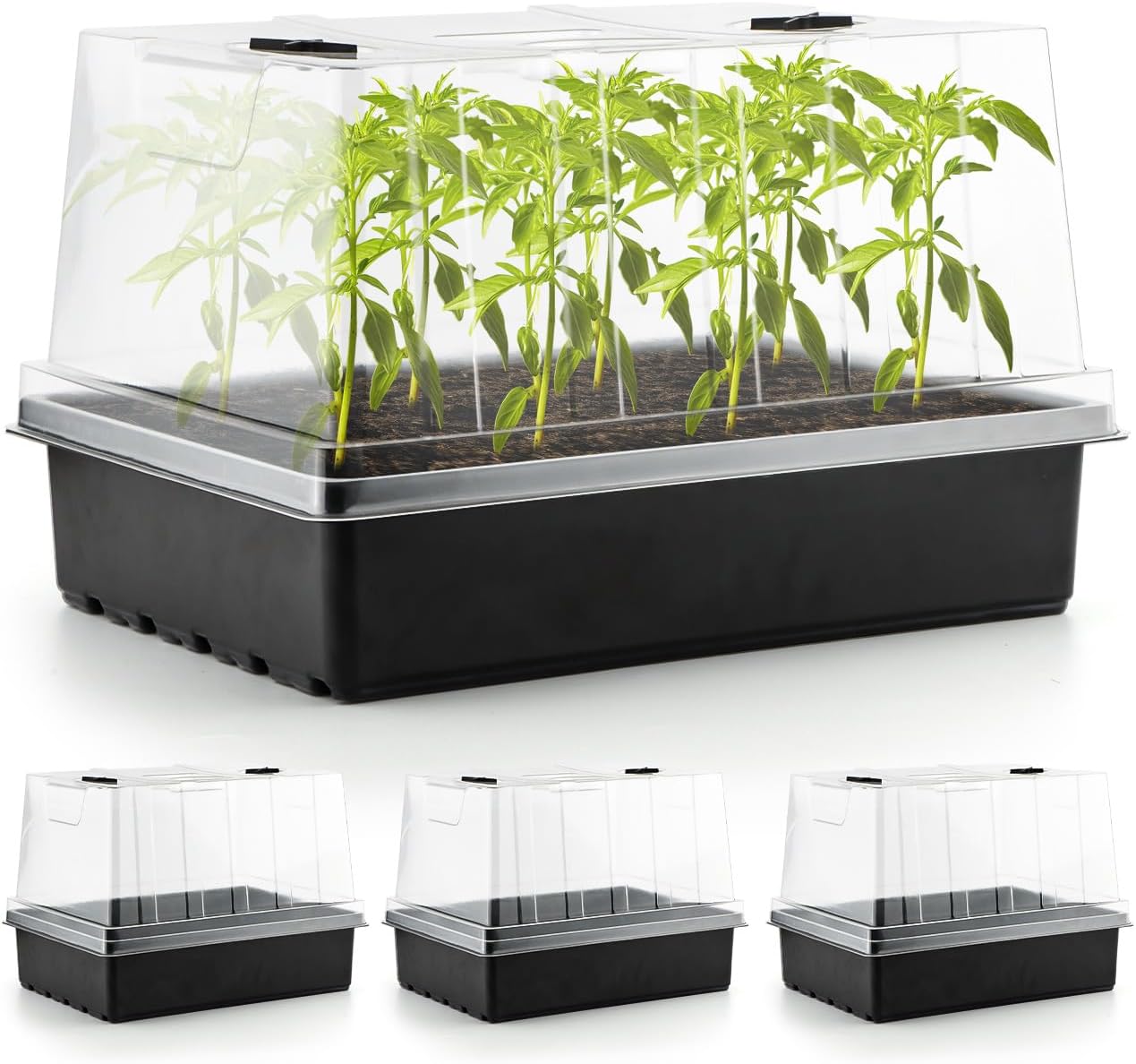 RooTrimmer 4-Pack Seed Starter Trays with 5'' Tall Humidity Domes – Reusable Plant Germination Kit for Microgreens, Herbs & Indoor Gardening | Clear Vented Lids, Fast Seedling Growth & Durable Design