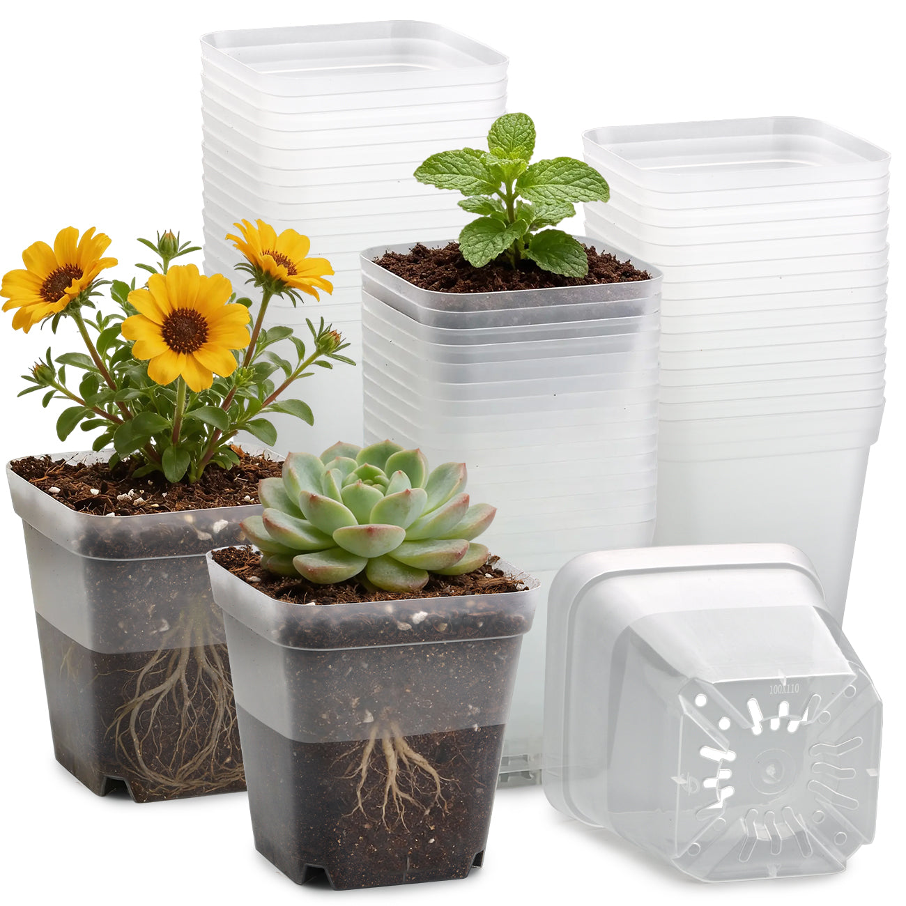 RooTrimmer™ 4" Clear Square Nursery Pots (60-Pack)