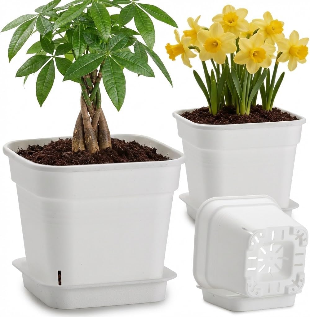 6 Pack 6/8/10 Inch White Square Air Pruning Plant Pots with Saucers | 5mm Thick Heavy Duty Breathable Planters for Orchids, Succulents, Indoor & Outdoor Plants