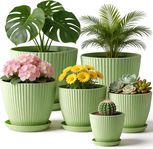 6 Pack Multi-Size Mint Green Vertical Ribbed Plant Pots with Matching Saucers | 3.5"-7.5" All-Size PP Drainage Planters for Succulents, Cactus, Herbs & Indoor Houseplants