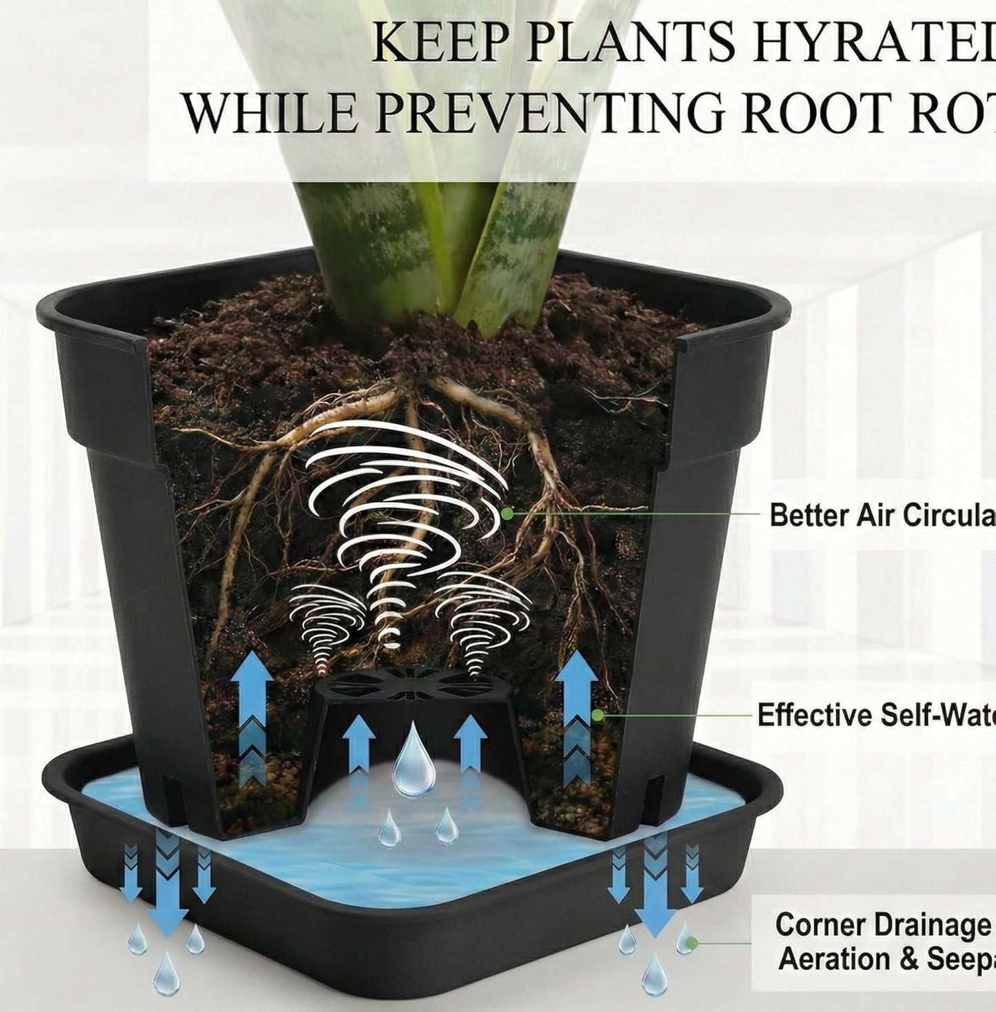 6 Pack 8 Inch Black Square Plant Pots with Matching Saucers | 5mm Thick Heavy-Duty 32-Hole Breathable Planters for Succulents, Herbs, Indoor & Outdoor Plants