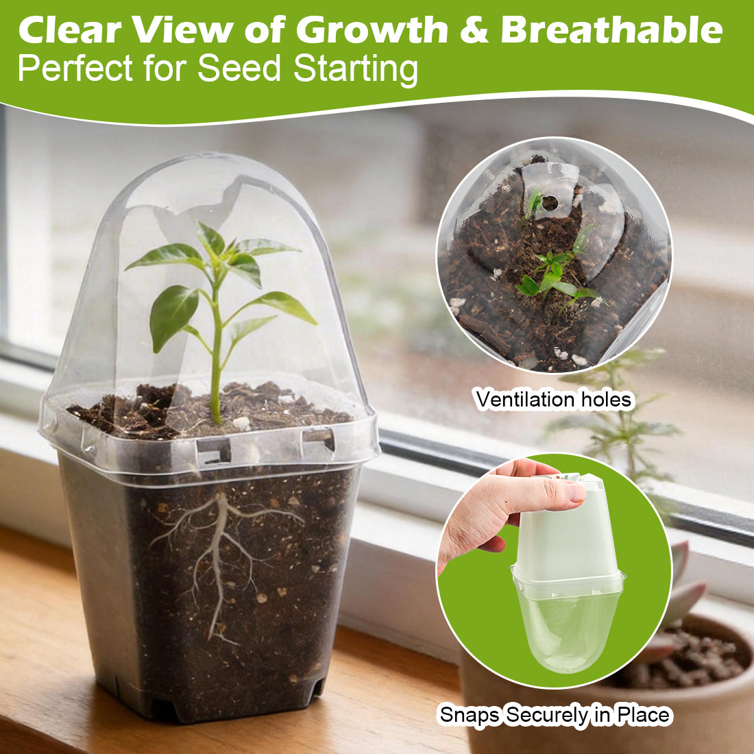 RooTrimmer 2.7" Clear Square Nursery Pots with Humidity Domes (60-Pack)