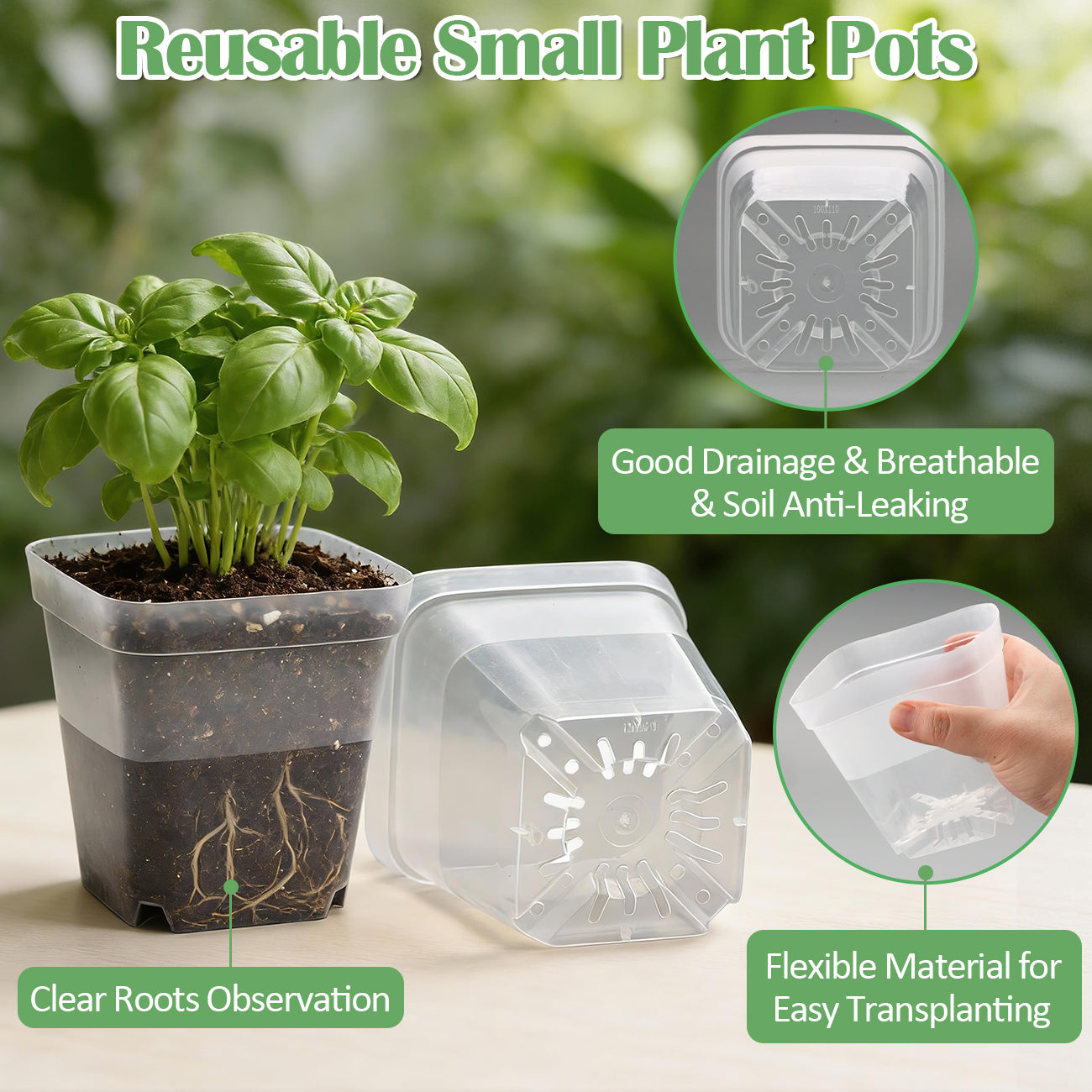 RooTrimmer™ 4" Clear Square Nursery Pots (60-Pack)