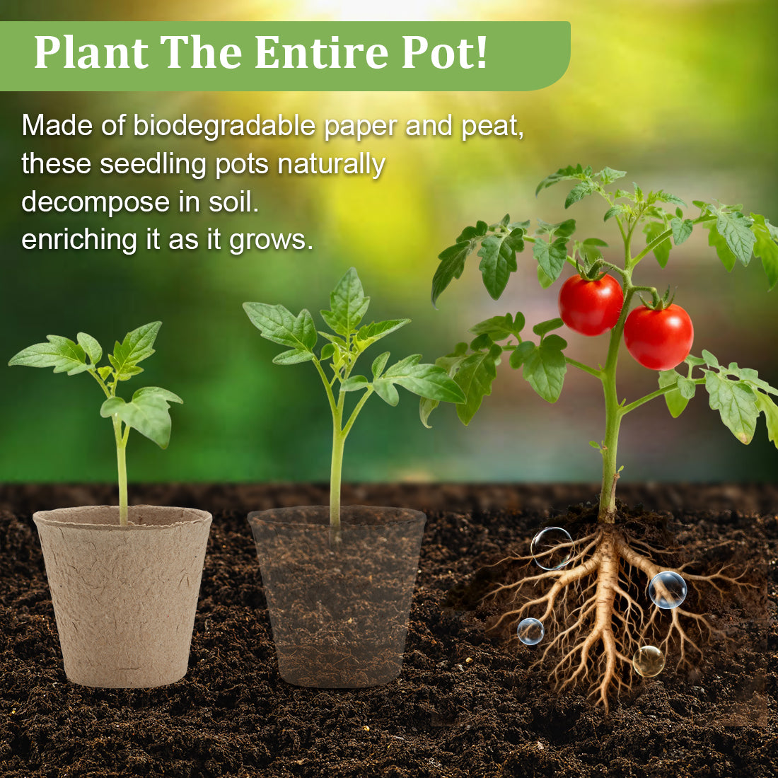 RooTrimmer™ Professional Seed Starter Kit | 100 Biodegradable Pots & 5 Heavy-Duty Trays