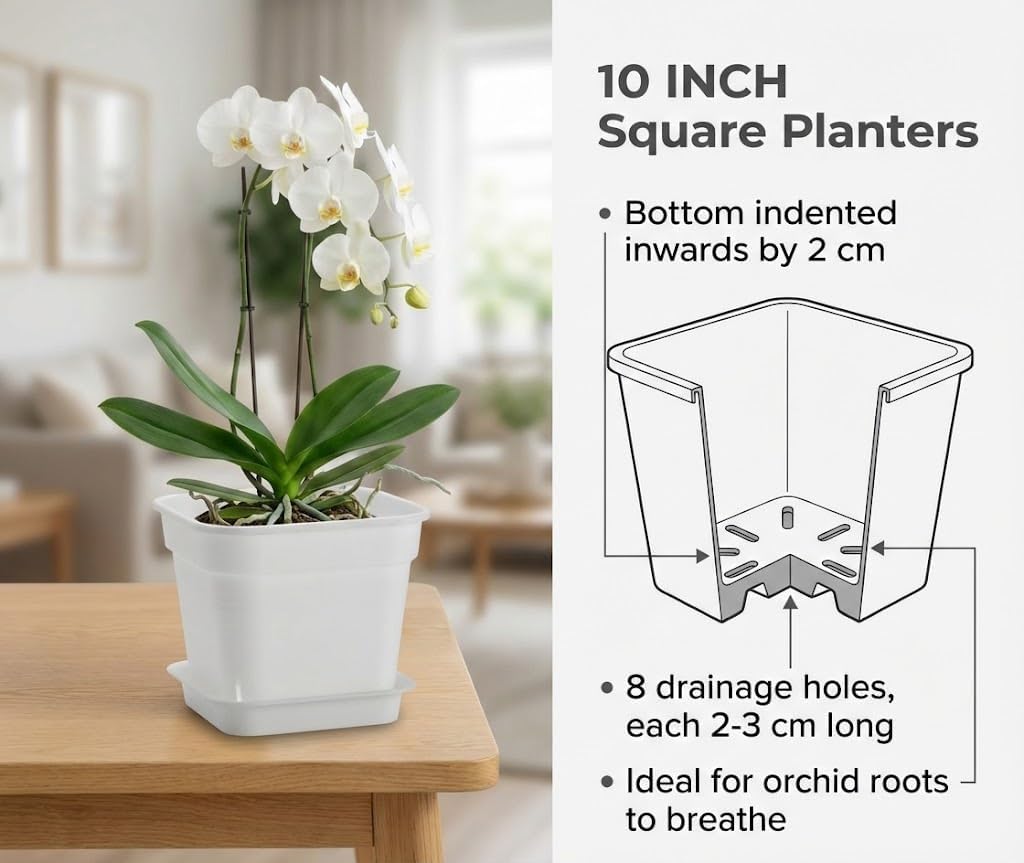 5 Pack 10 Inch White Square Air Pruning Plant Pots with Saucers | 5mm Thick Heavy-Duty Breathable Large Planters for Trees, Orchids, Vegetables & Indoor Outdoor Plants