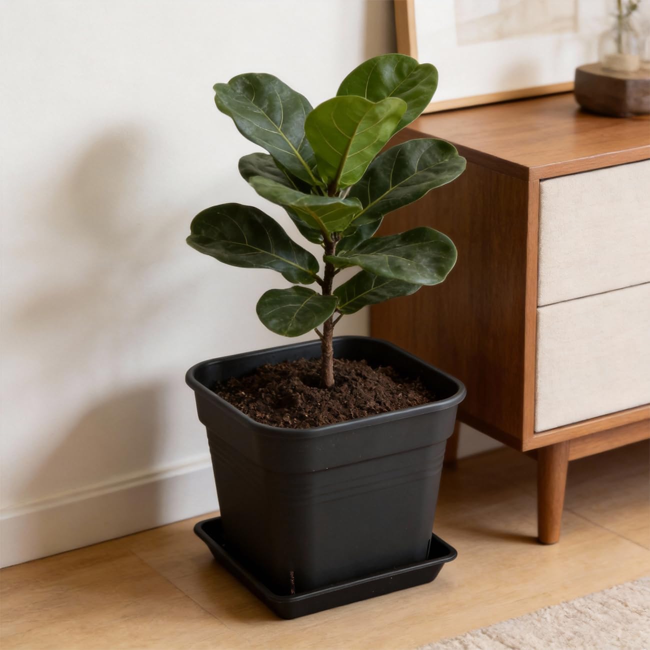 6 Pack 8 Inch Black Square Plant Pots with Matching Saucers | 5mm Thick Heavy-Duty 32-Hole Breathable Planters for Succulents, Herbs, Indoor & Outdoor Plants