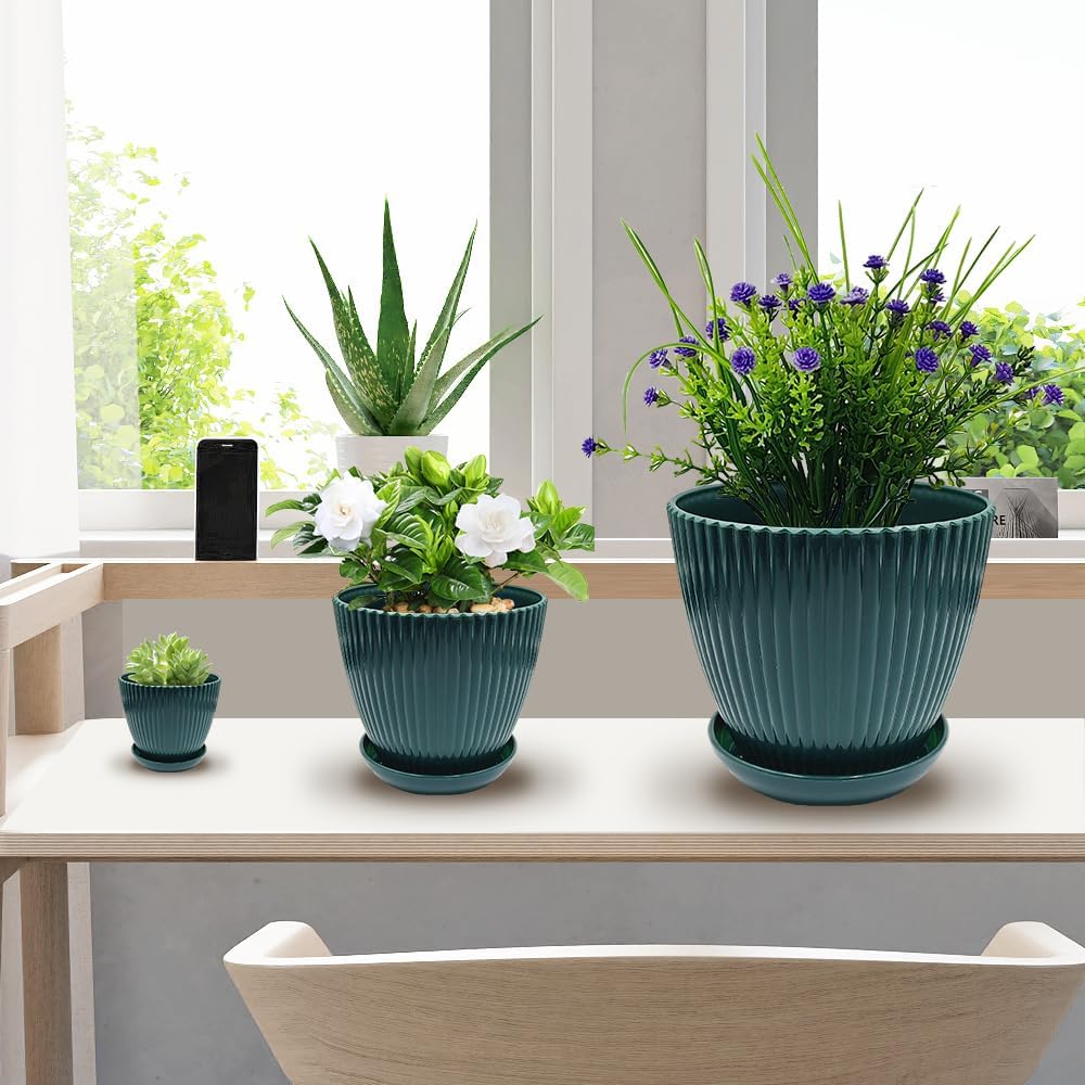 6 Pack 3.5"-7.5 Inch Dark Green Vertical Ribbed Plant Pots with Matching Saucers | High-Strength PP Drainage Planters for Succulents, Cactus, Herbs & Indoor Houseplants