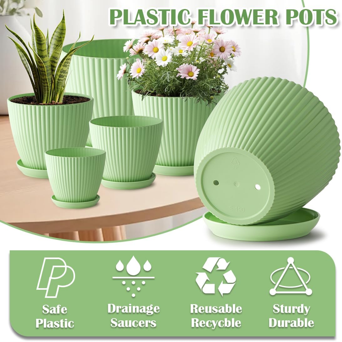 6 Pack Multi-Size Mint Green Vertical Ribbed Plant Pots with Matching Saucers | 3.5"-7.5" All-Size PP Drainage Planters for Succulents, Cactus, Herbs & Indoor Houseplants