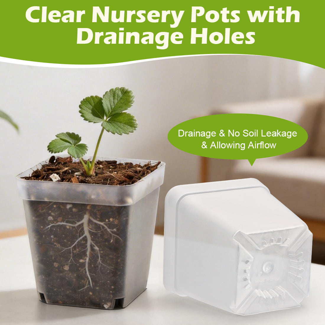RooTrimmer 2.7" Clear Square Nursery Pots with Humidity Domes (60-Pack)