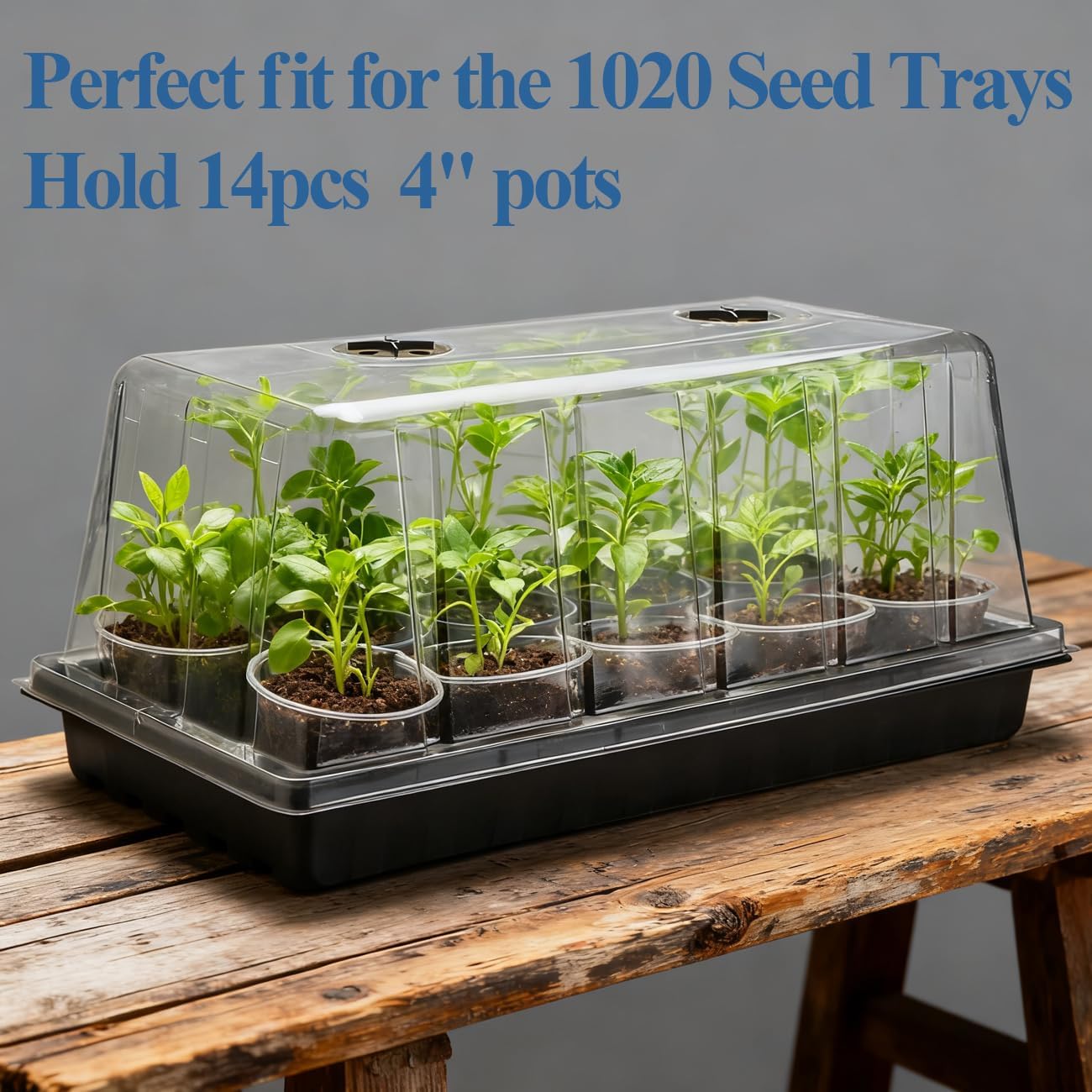 1020 Plant Tray with Tall 7.3" Dome, 5-Pack Extra Large Seed Starter Tray with Humidity Domes, Heavy Duty 1020 Trays and Flats with Lid, Seed Germination Mini Greenhouse No Hole for Balcony Garden