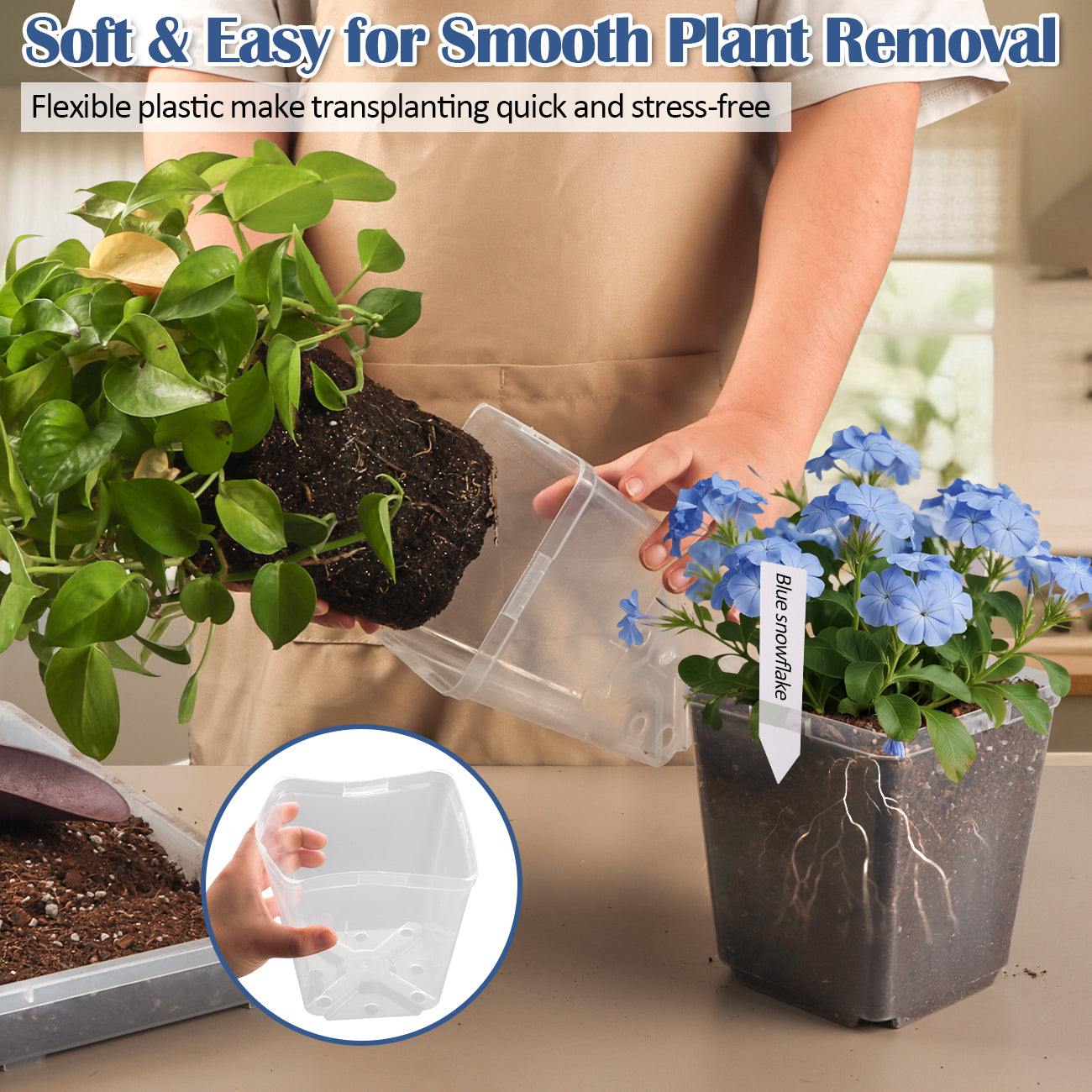 RooTrimmer™ 5.5" Clear Square Nursery Pots (30-Pack + Labels)