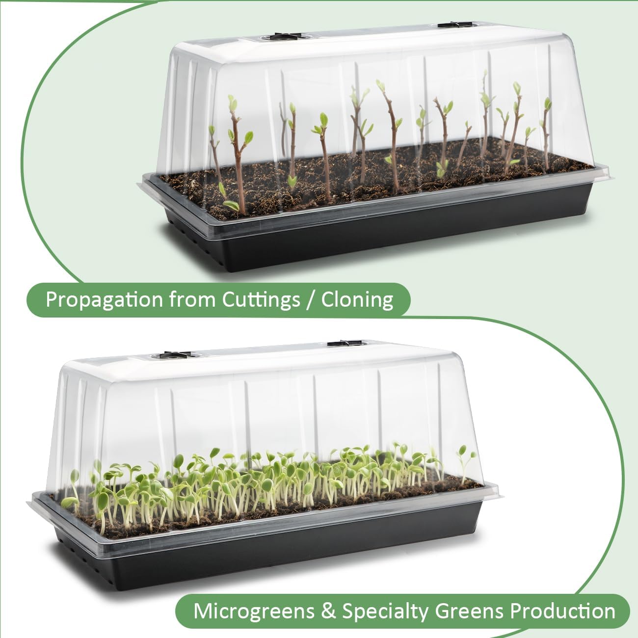 1020 Trays with Tall 7.3" Dome, 10-Pack Extra Large Seed Starter Tray with Humidity Domes, Heavy Duty 1020 Seed Trays and Flats with Lid, Seed Germination Mini Greenhouse No Hole for Balcony Garden
