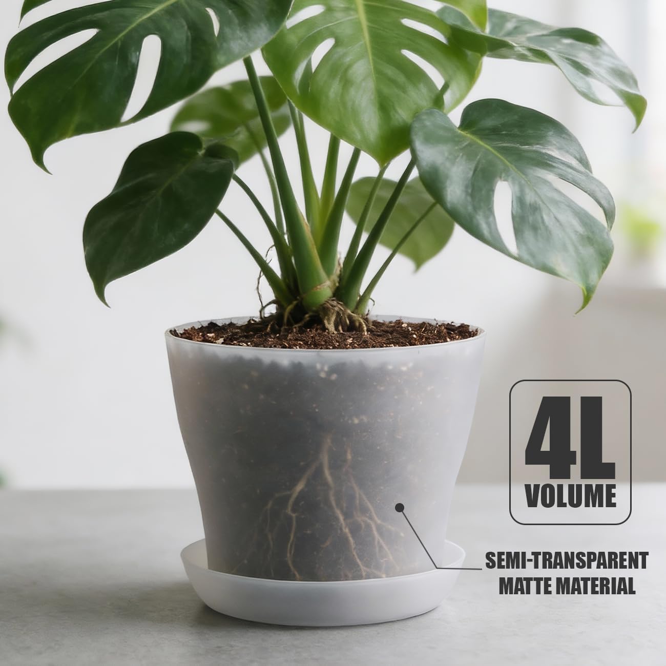 8 Inch Plant Pot with Large Drainage Holes & Saucer, 6 Pack Clear Nursery Pots Plastic Translucent Flower Pots - Durable Outdoor/Indoor Planters for Succulents, Herbs, Cacti, Ideal Gardening Gifts
