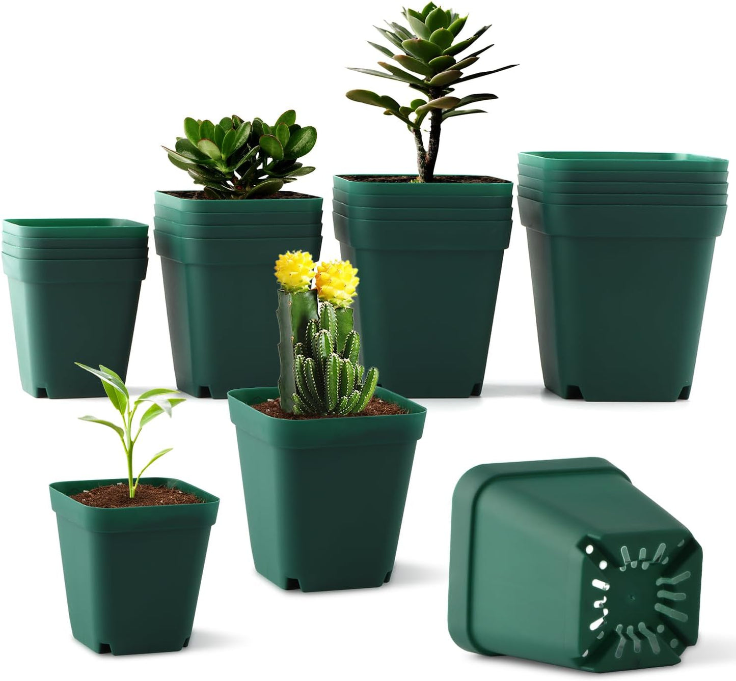 20 Pcs Nursery Pots with Drainage Holes – Plastic Seed Starting in 4 Sizes (2.7", 3", 3.5", 4"), Sturdy and Durable Seedling Pots for Planting, Cuttings, and Transplants, Green
