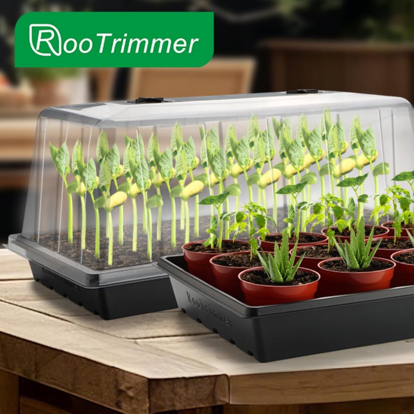 1020 Plant Tray with Tall 7.3" Dome, 5-Pack Extra Large Seed Starter Tray with Humidity Domes, Heavy Duty 1020 Trays and Flats with Lid, Seed Germination Mini Greenhouse No Hole for Balcony Garden