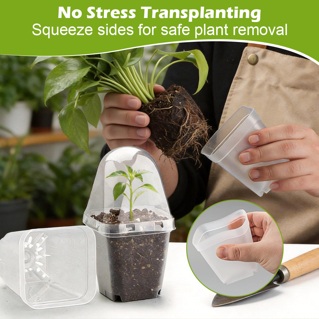 RooTrimmer 2.7" Clear Square Nursery Pots with Humidity Domes (60-Pack)