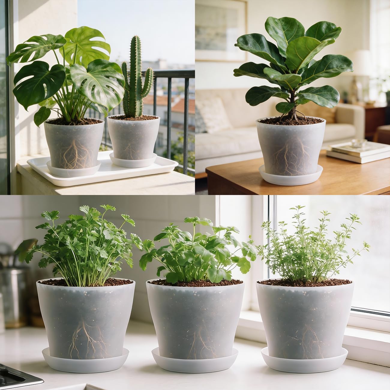 8 Inch Plant Pot with Large Drainage Holes & Saucer, 6 Pack Clear Nursery Pots Plastic Translucent Flower Pots - Durable Outdoor/Indoor Planters for Succulents, Herbs, Cacti, Ideal Gardening Gifts