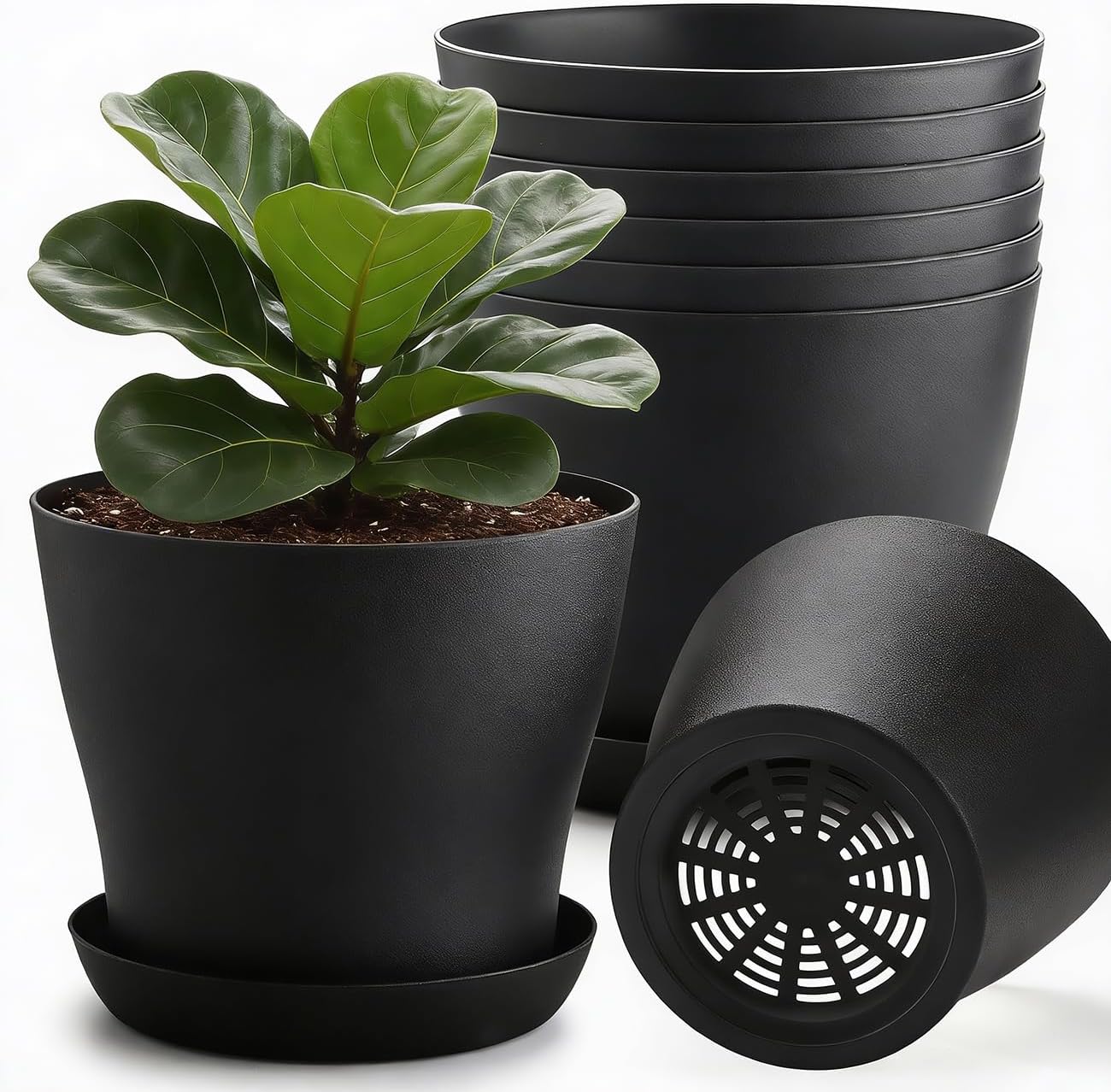8inch Plant Pot with Drainage Holes & Saucer, 6 Pack Round Durable Plastic 8" Black Nursery Pots Flower Pots for Indoor/Outdoor Plants, Minimalist Curved Design for Succulents, Herbs, Cacti
