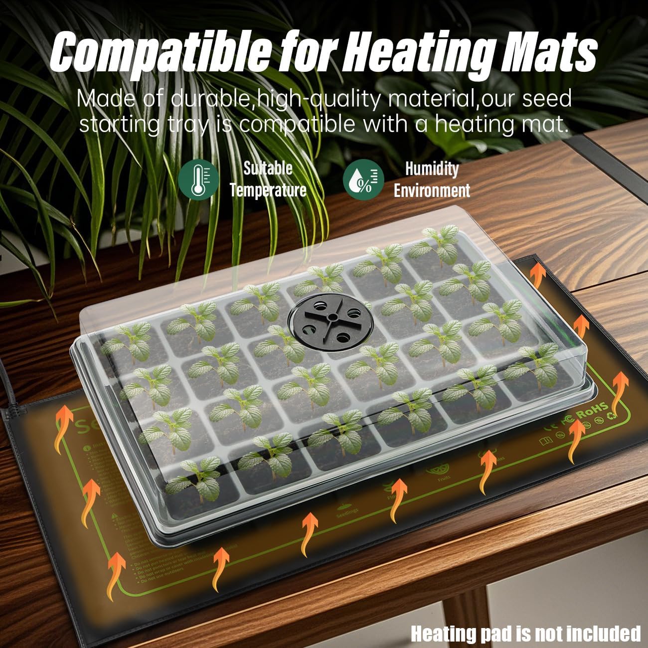 Seed Starter Tray with Dome-5 Sets 24XL Cell Seedling Trays(Total 120 Cells), Plant Germination Tray with Humidity Vented Lid and Base, Mini Propagator Plant Greenhouse for Seed Growing