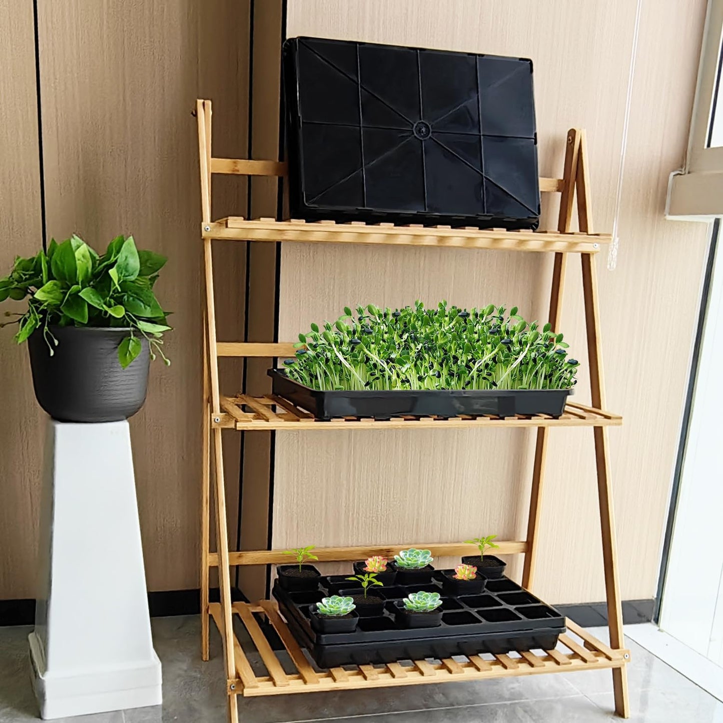 5 Pack Nursery Potting Tray, Carrying and Holding Plant Tray for Seeds Starting Pot, Collecting Drainage Water(Black)
