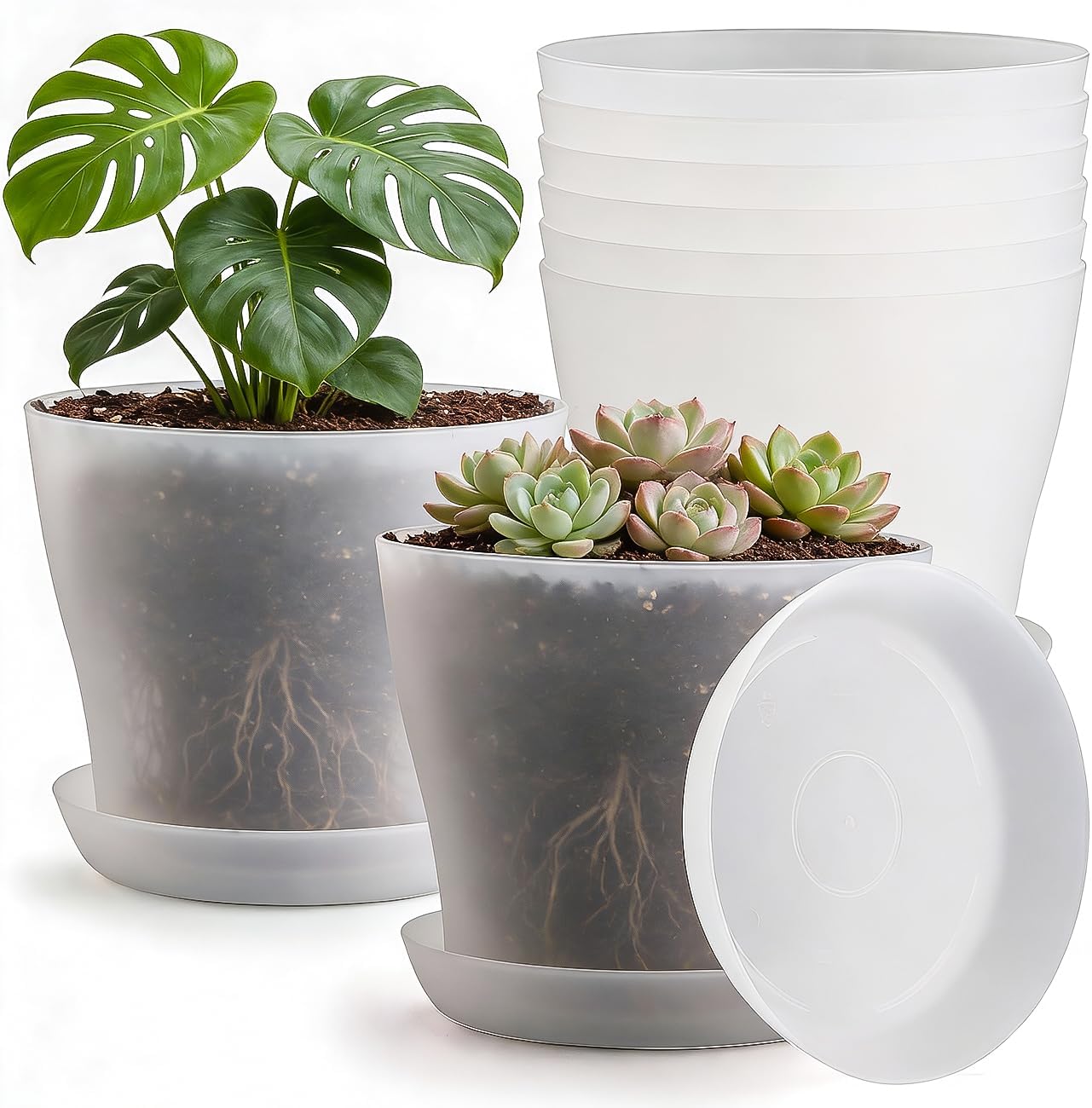 8 Inch Plant Pot with Large Drainage Holes & Saucer, 6 Pack Clear Nursery Pots Plastic Translucent Flower Pots - Durable Outdoor/Indoor Planters for Succulents, Herbs, Cacti, Ideal Gardening Gifts