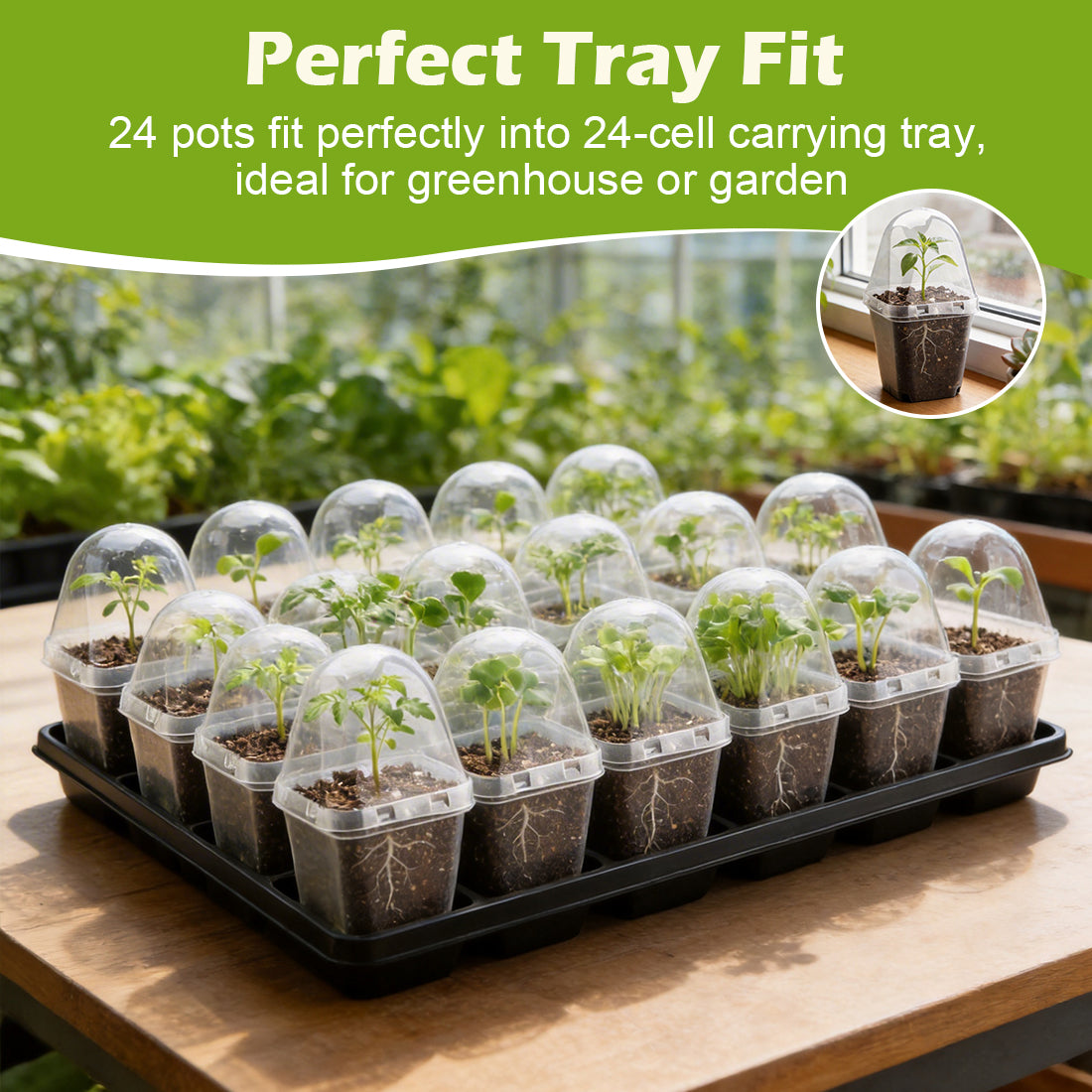 RooTrimmer 2.7" Clear Square Nursery Pots with Humidity Domes (60-Pack)