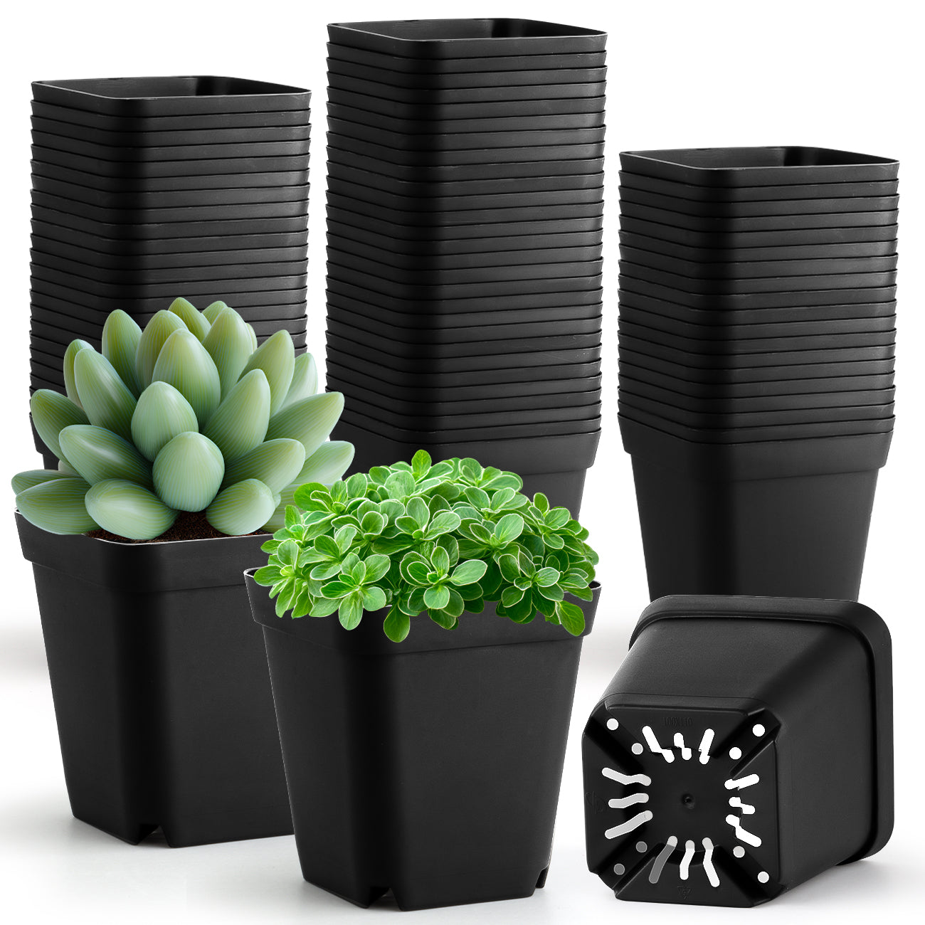 RooTrimmer™ 3.15" Square Nursery Pots (100-Pack)