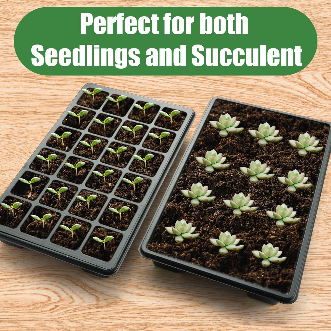 RooTrimmer 10-Pack XL Seed Starter Tray with Dome – 24 Large 2" Cells per Seedling Starter Trays (Total 240 Cells), Seed Growing Tray with Humidity Lids for Greenhouse Home Plant Propagation