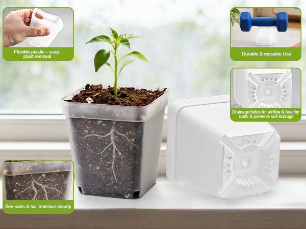 RooTrimmer™ 2.7" Clear Square Nursery Pots (120-Pack)