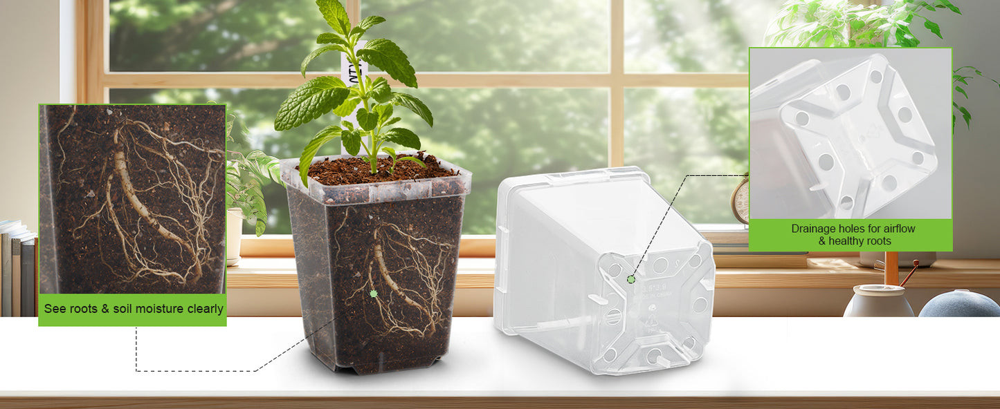 RooTrimmer 3.3" Clear Square Nursery Pots (90-Pack) – High-Efficiency Seedling & Propagation Trays