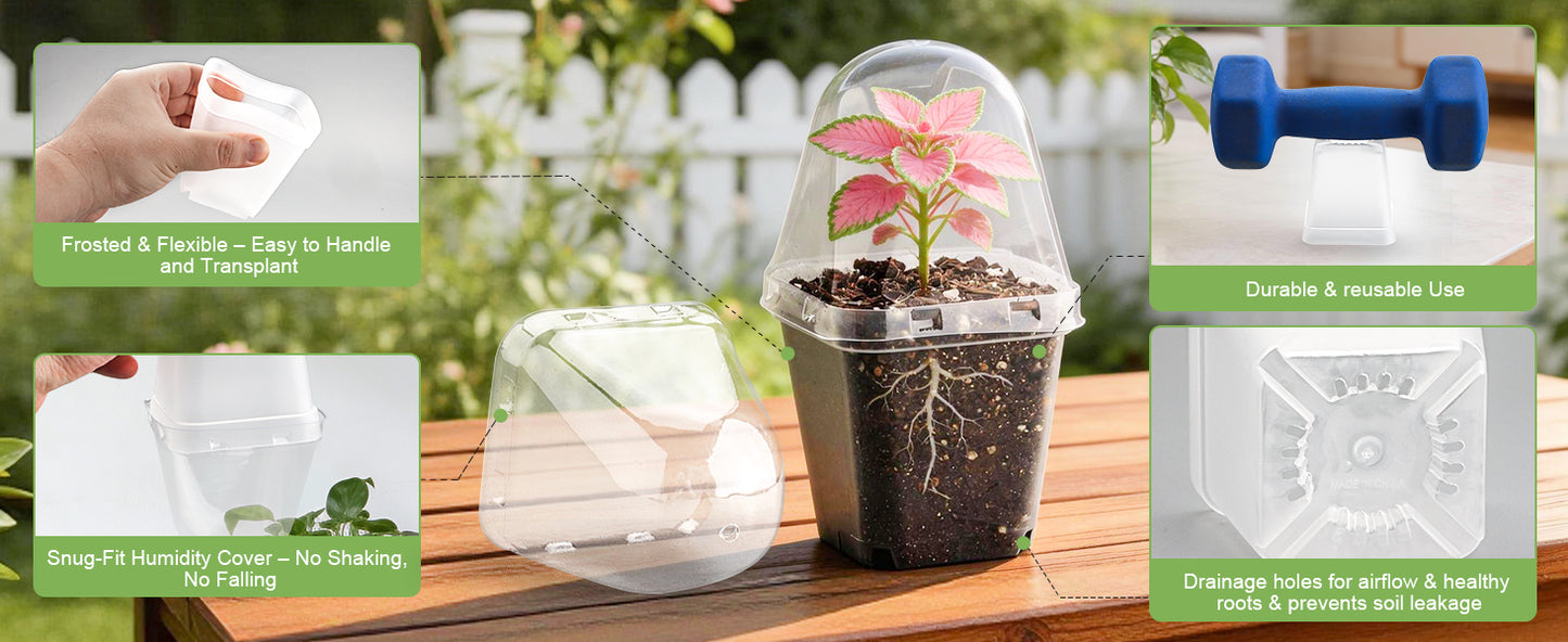 RooTrimmer 2.7" Clear Square Nursery Pots with Humidity Domes (60-Pack)