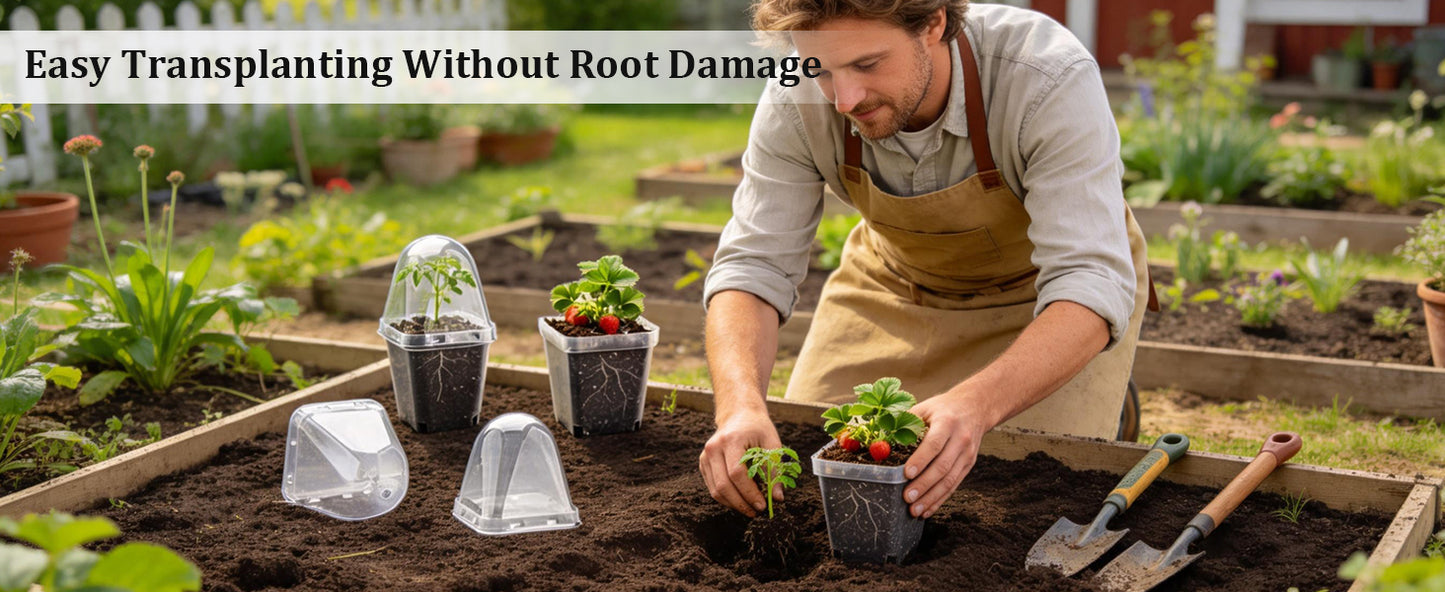 RooTrimmer 2.7" Clear Square Nursery Pots with Humidity Domes (60-Pack)