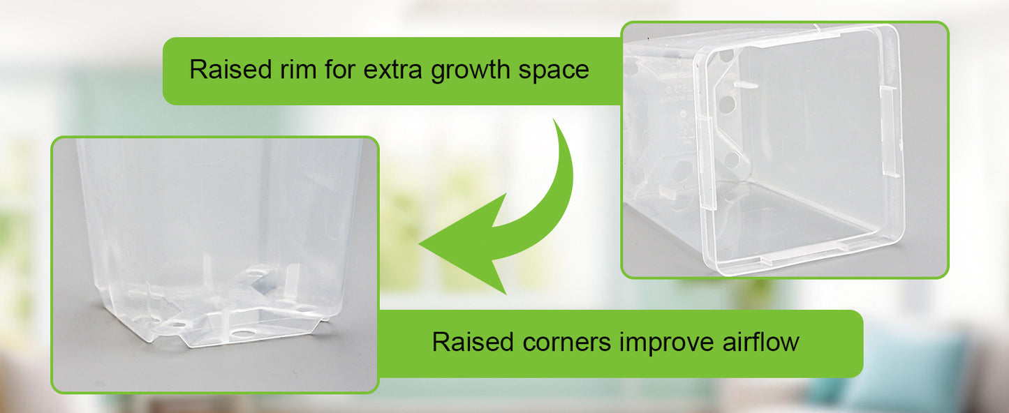 RooTrimmer 3.3" Clear Square Nursery Pots (90-Pack) – High-Efficiency Seedling & Propagation Trays
