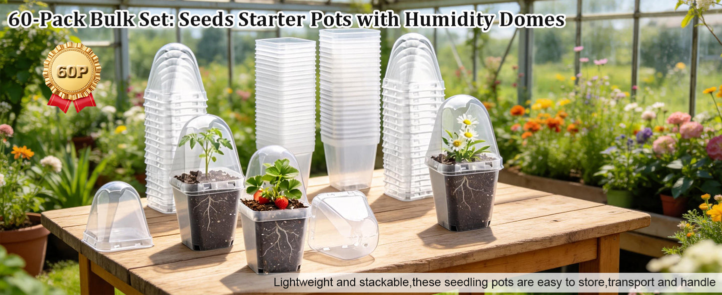 RooTrimmer 2.7" Clear Square Nursery Pots with Humidity Domes (60-Pack)
