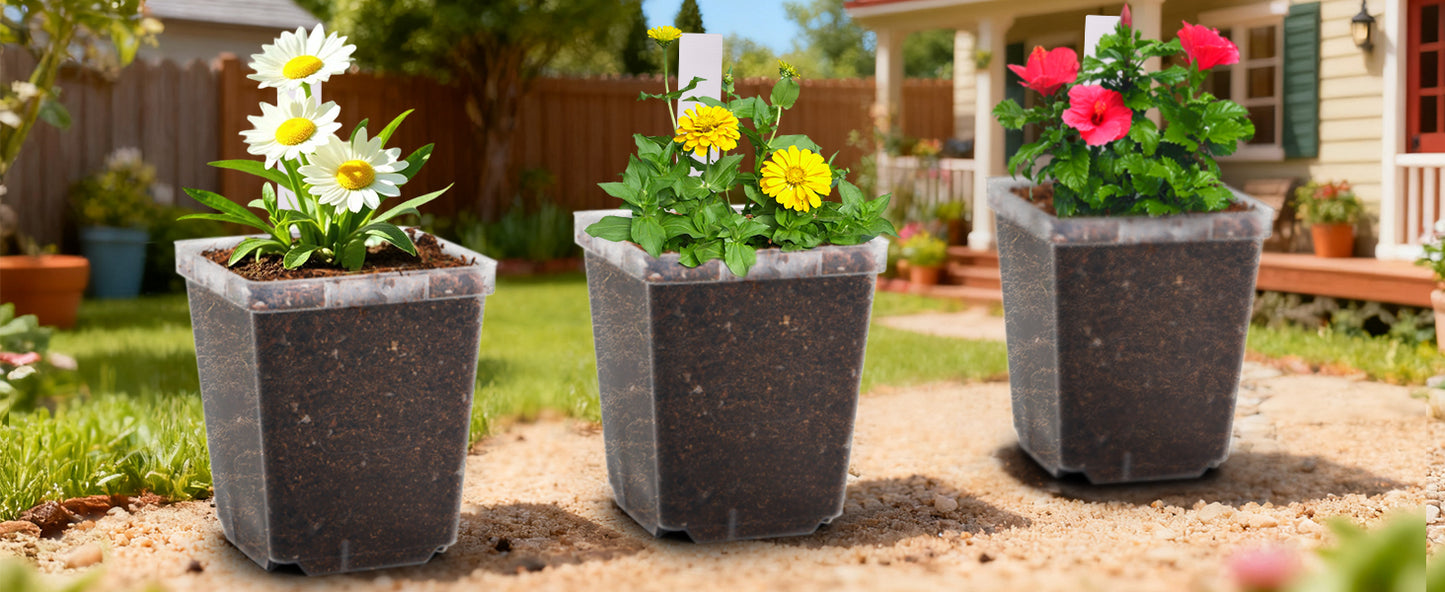 RooTrimmer 3.3" Clear Square Nursery Pots (90-Pack) – High-Efficiency Seedling & Propagation Trays
