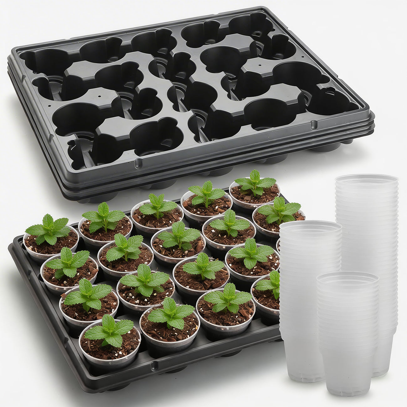3" Clear Nursery Pots & Heavy-Duty Carrying Tray Kit (100-Pack / 5-Set System)