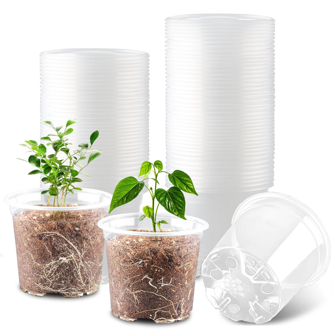 100 Pack 4 Inch Clear Plant pots with Drainage Holes, Transparent Nursery Seeding Pots, Flexile Seeds Starter Pots, Seeds Germination (4Inch,100P,Clear)
