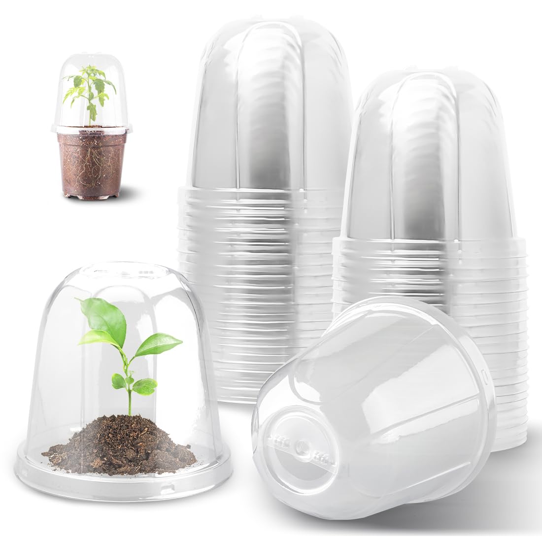 6 Inch Clear Plastic Humidity Dome, 30 Pcs Adjustable Transparent Plant Domes for 6" Seedlings Nursery Pots, Reusable Thick Plastic Grow Dome Cover for Seed Starter Pots Outdoor Gardening Plant Growth