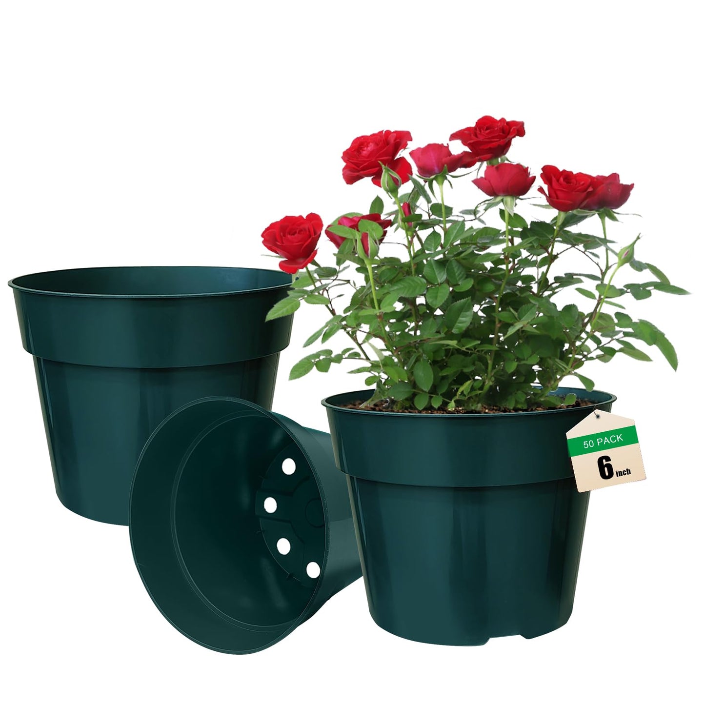 50 Pack 6 Inch Nursery Pots, Planting Grow Plastic Flower Pots, Thick Planters with Drainage Holes for Outdoor/Indoor Plants Succulent Herb (Green)